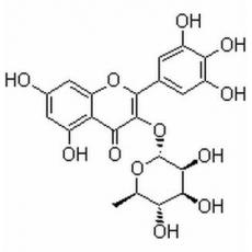 杨梅苷,化学对照品(20mg)