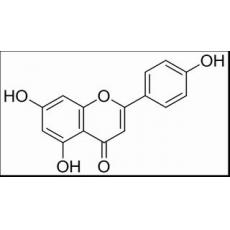 芹菜素,化学对照品(20mg)