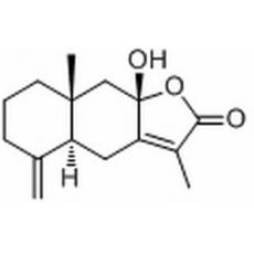 白术内酯III,化学对照品(20mg)