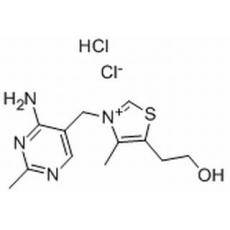 维生素B1，化学对照品(100 mg)