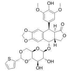 Teniposide,化学对照品(100mg)