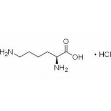 L-赖氨酸盐酸盐,化学对照品(100mg)