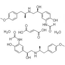 富马酸福莫特罗,化学对照品(100mg)