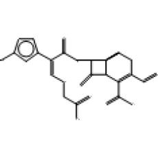 头孢克肟,化学对照品(100mg)