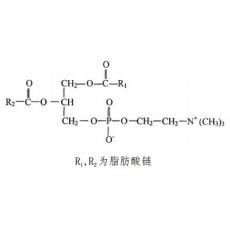 蛋黄磷脂酰胆碱,药用辅料对照品(50mg)