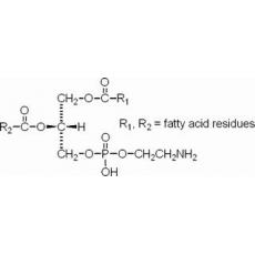 磷脂酰乙醇胺,药用辅料对照品(25mg)