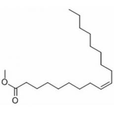 油酸甲酯,化学对照品(1ml)