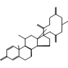 泼尼卡酯,其他(50mg)