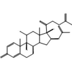 曲安西龙双醋酸酯,其他(50mg)