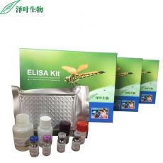 Human LRRC1 ELISA Kit
