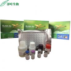 Human (HOXD13)ELISA Kit