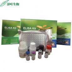 Human (ERK)ELISA Kit