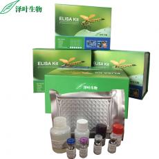Rat (CKMT1B)ELISA Kit