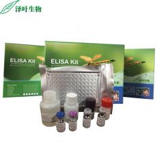 Rabbit(AST)ELISA Kit