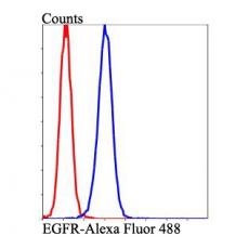 Anti-EGFR antibody