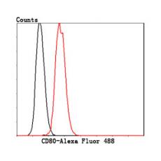 Anti-CD80/B7-1 antibody