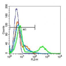 Anti-ICAM-2/CD102 antibody