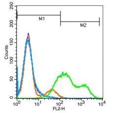 Anti-ICOS ligand antibody
