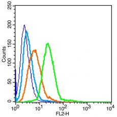 Anti-IGSF8 antibody