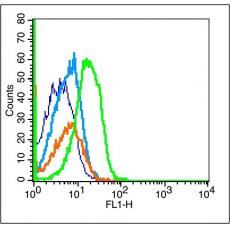 Anti-IL-13Ra2 antibody