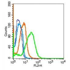 Anti-IL22 antibody