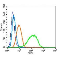 Anti-Integrin alpha 3 antibody