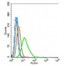 Anti-C21orf33 antibody