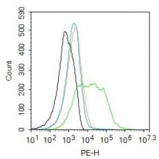 Anti-ST18 antibody