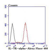 Anti-IL-7R-alpha antibody
