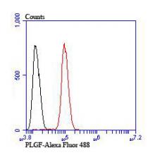 Anti-PLGF antibody