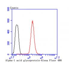 Anti-Alpha-1 acid glycoprotein antibody