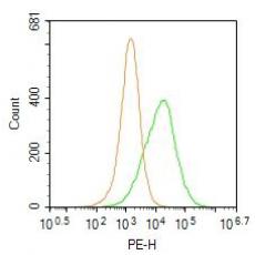 Anti-EDG3 antibody