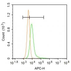 Anti-EMP-1 antibody