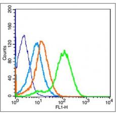 Anti-Fas Ligand antibody