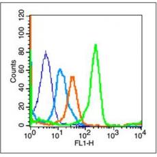 Anti-CXCR4 antibody