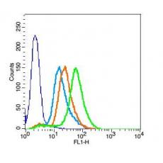 Anti-CXCR3 antibody