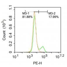 Anti-ADAM23 antibody