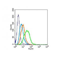 Anti-AF10 antibody