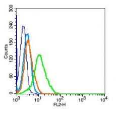 Anti-AMHR2 antibody