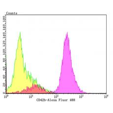 Anti-CD42b antibody