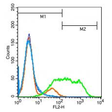 Anti-CD272 antibody