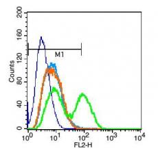 Anti-CD23 antibody