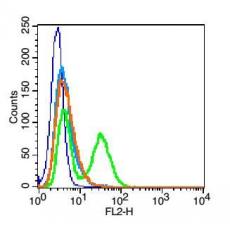 Anti-CD62p antibody