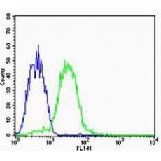 Anti-CHI3L1 antibody