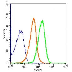 Anti-Glucagon Receptor antibody