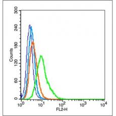 Anti-HIF3 alpha antibody