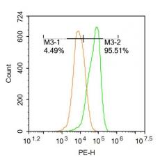 Anti-HO-2 antibody