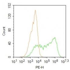 Anti-PA26 antibody