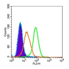 Anti-TREM1 antibody