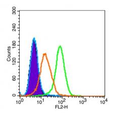 Anti-TREM1 antibody